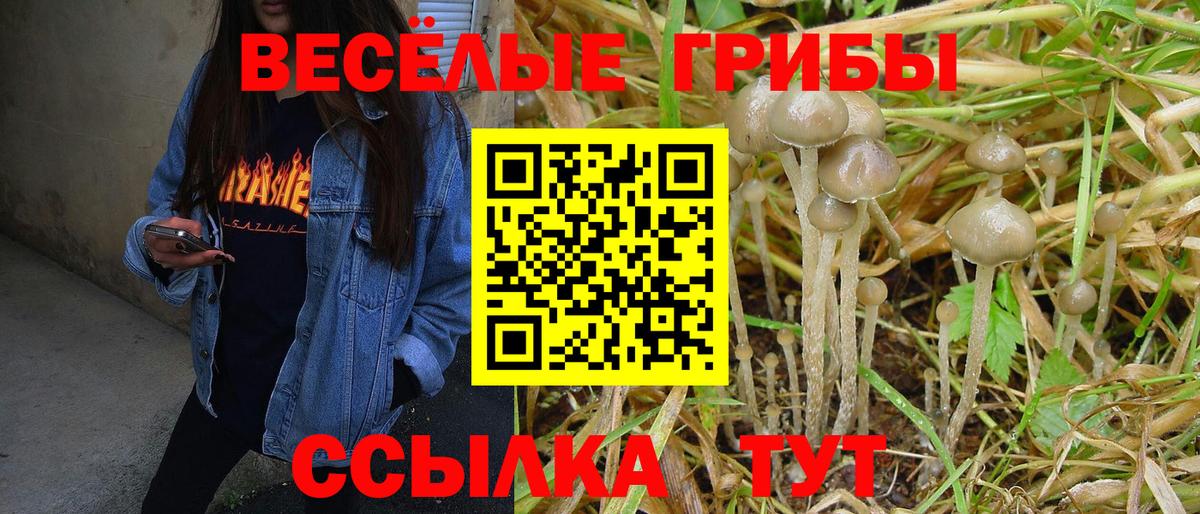 Галлюциногенные грибы Magic Shrooms Белореченск